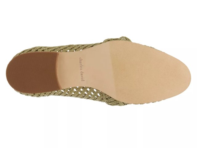 Charles david shoes dsw deals