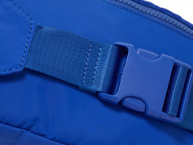 Dsw 2025 belt bag