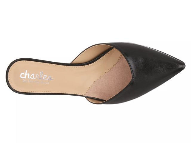 Charles by Charles David Aloe Mule