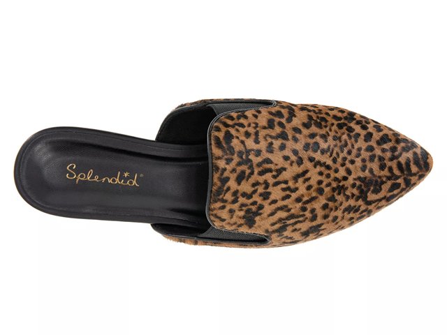 Splendid Liza Mule