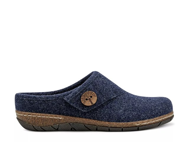 Dsw best sale earth shoes