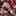 Alake Pump Light Pink/Multicolor Plaid view