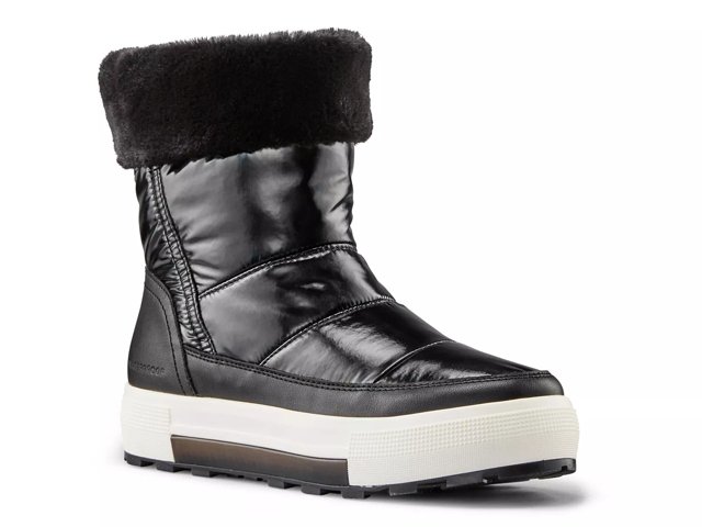 Dsw cougar sales