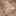 Stefen Sneaker Brown Logo Print view