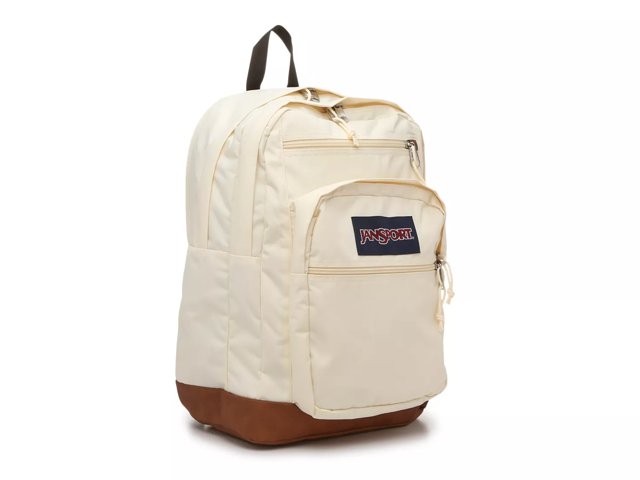 Free backpack dsw store
