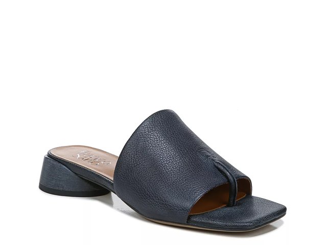 Franco sarto mules dsw sales