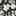 Amayaa Sandal Black/White view