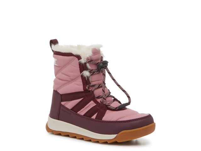 Dsw sorel whitney shop