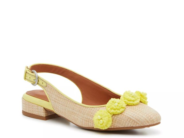 Dsw 2025 gentle souls
