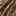 Dydra Sandal Cognac view