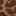 Gretchenn Flat Light Brown/Black Leopard Print view