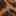 Sasella Sandal Brown/Black Leopard Print Fabric view