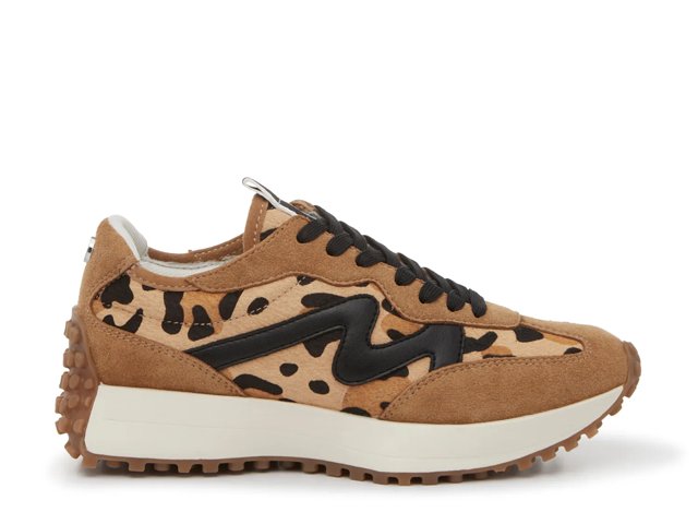 Steve Madden Campo Sneaker - Free Shipping | DSW