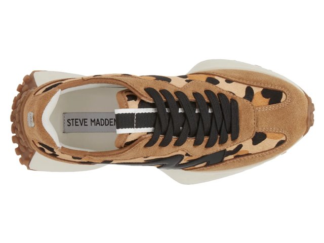 Steve Madden Campo Sneaker Free Shipping DSW
