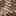 Lyle Sandal Tan/Brown Snake Print Leather view