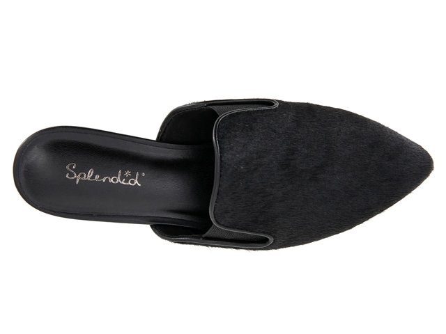 Splendid shoes dsw shop