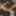 Maurene Ballet Flat Tan/Brown/Black Leopard Print view