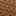 Trish Cove Loafer Tan view