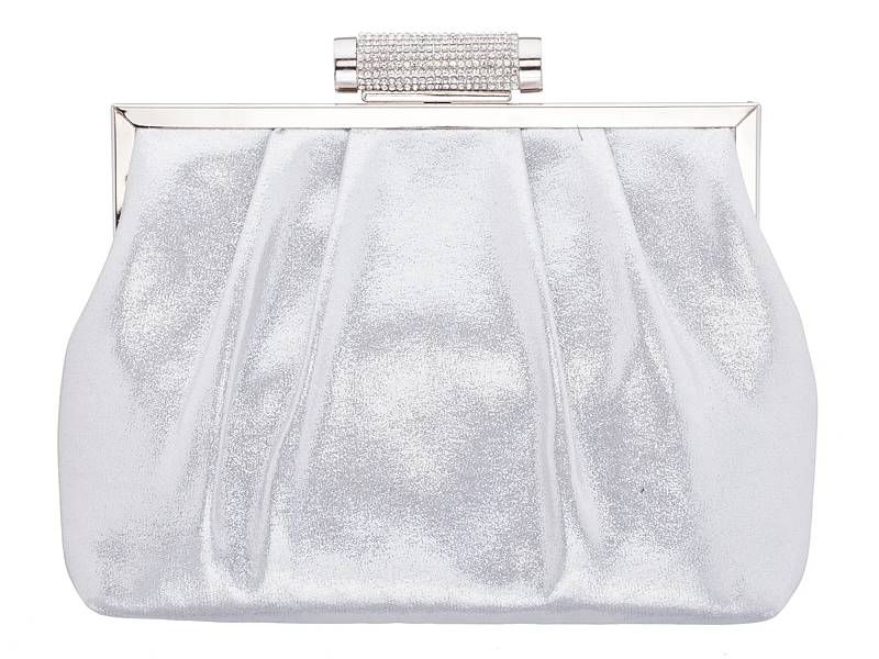 Dsw silver fashion clutch