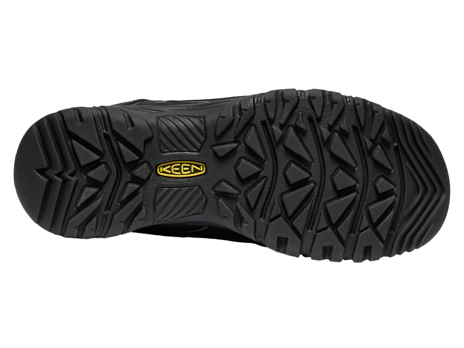 Targhee IV Waterproof Hiking Shoe