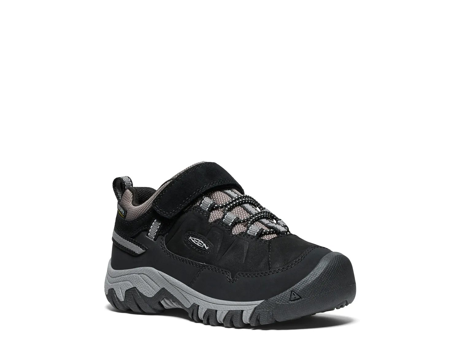 Waterproof Targhee IV Hiking Shoe