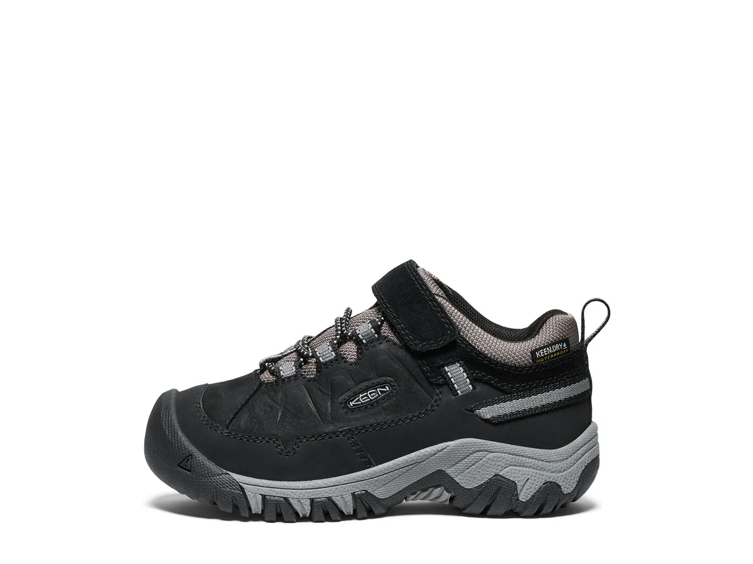 Waterproof Targhee IV Hiking Shoe
