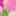 Donna 3 Pump Pink/Green Floral Print view