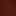 William Oxford Dark Brown view