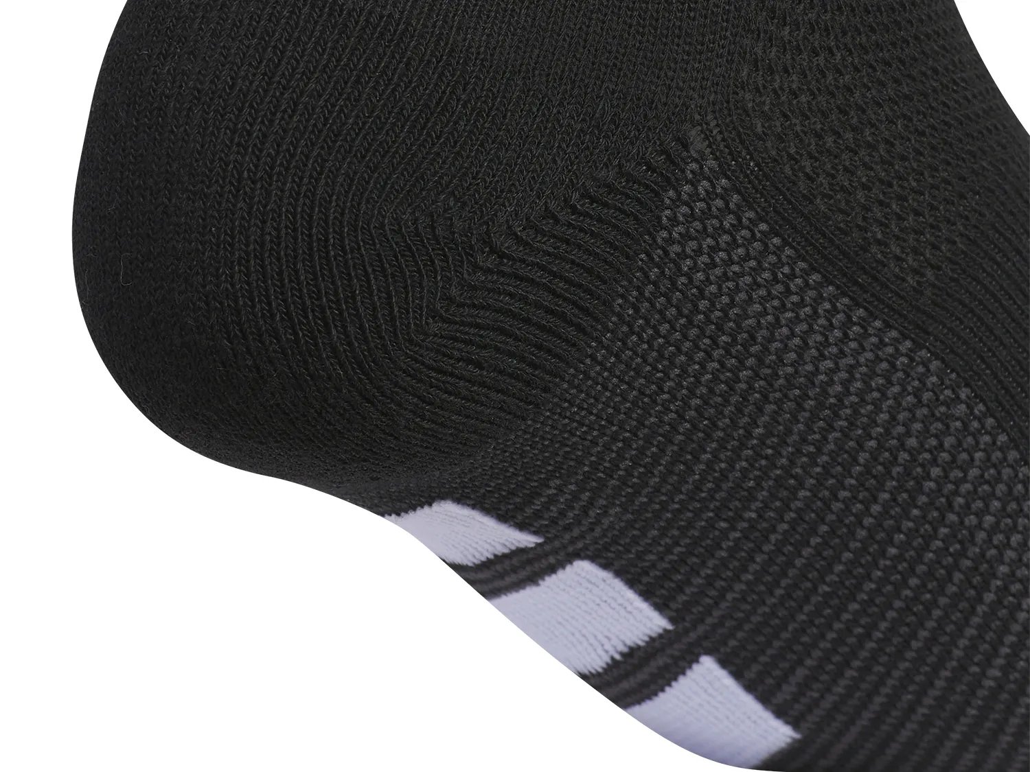 All Day Training Women's No Show Socks