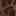 Timeless Flat Dark Brown view