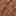 Campton Mule Dark Brown view