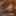 Nine Dollar Pour Over Polarized Round Sunglasses Light Brown view