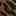 Aviba Flat Light Brown/Black Leopard Print view
