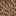 Boho Chic Sandal Brown/Multicolor view