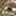 Essere Sandal Taupe view