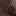 Venice Flat Dark Brown view
