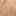 Dorian Sandal Tan view