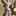 Tarrant Over-The-Knee Boot Brown Snake Print view