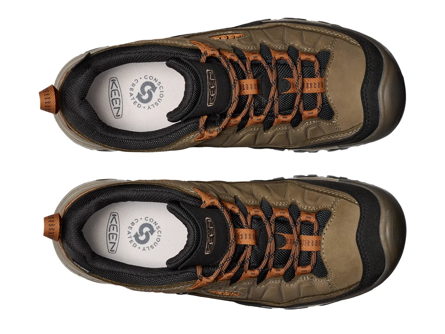 Targhee IV Waterproof Hiking Shoe - Men's