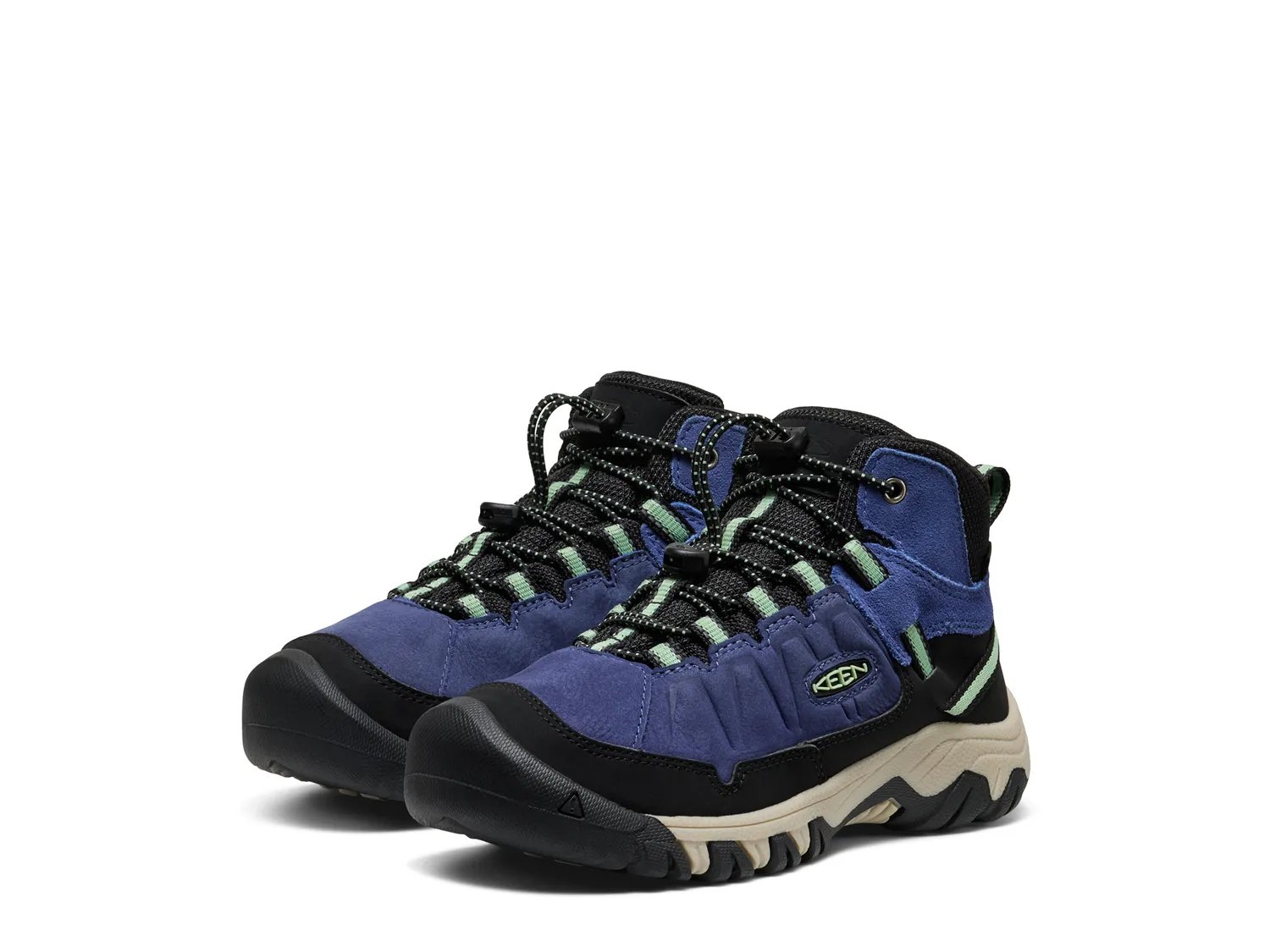 Targhee IV Waterproof Hiking Boot
