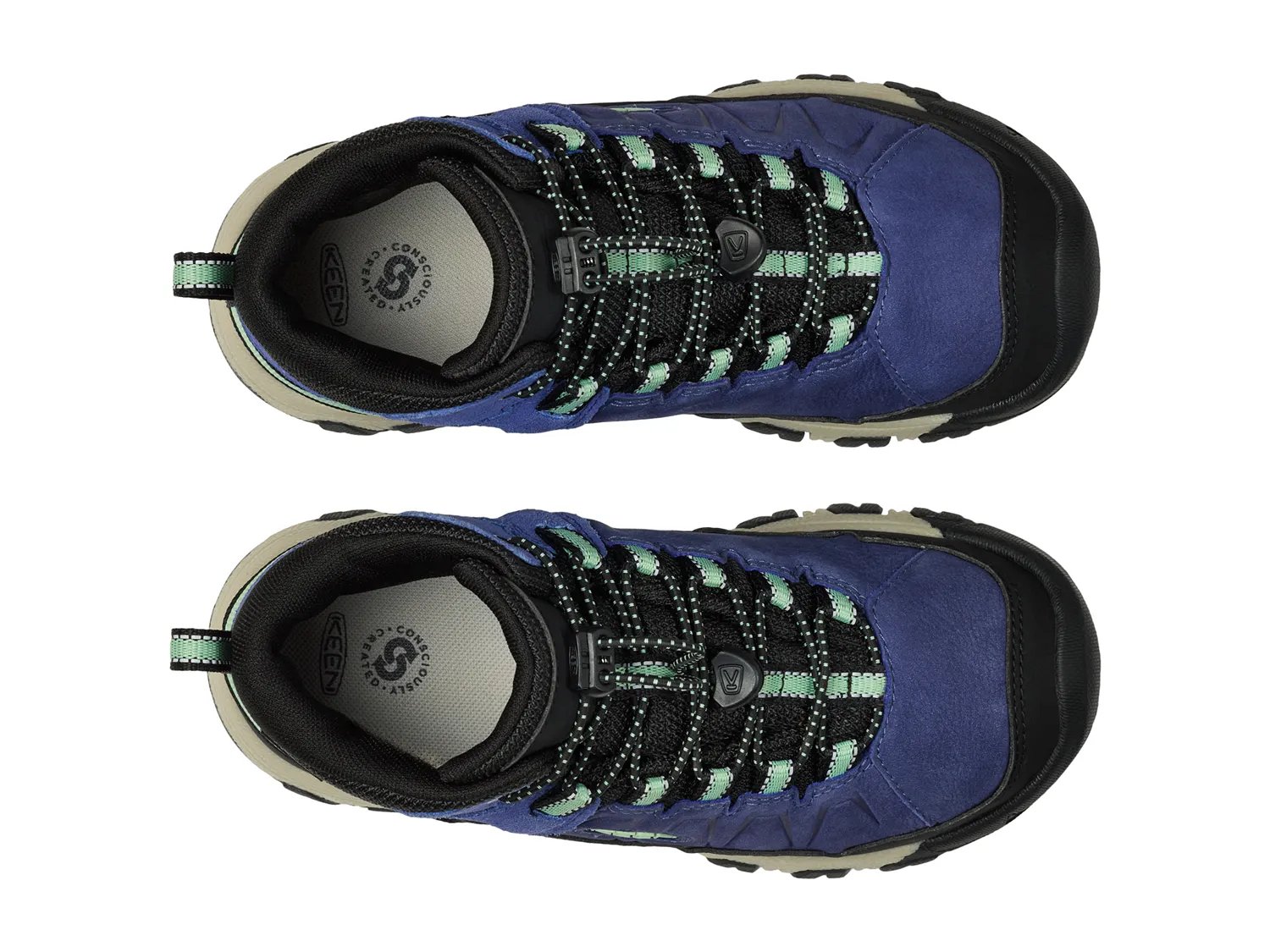 Targhee IV Waterproof Hiking Boot
