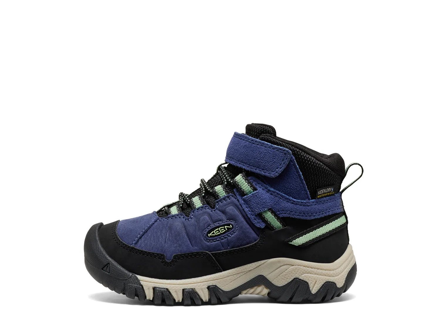 Targhee IV Waterproof Hiking Boot