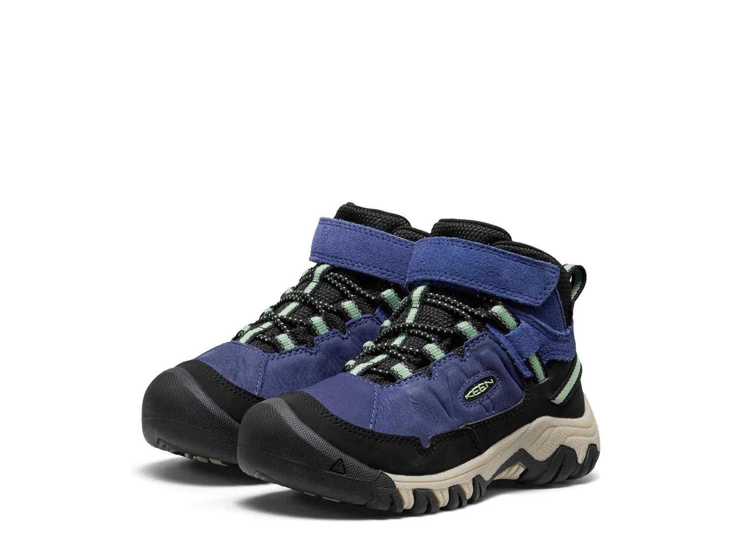 Targhee IV Waterproof Hiking Boot