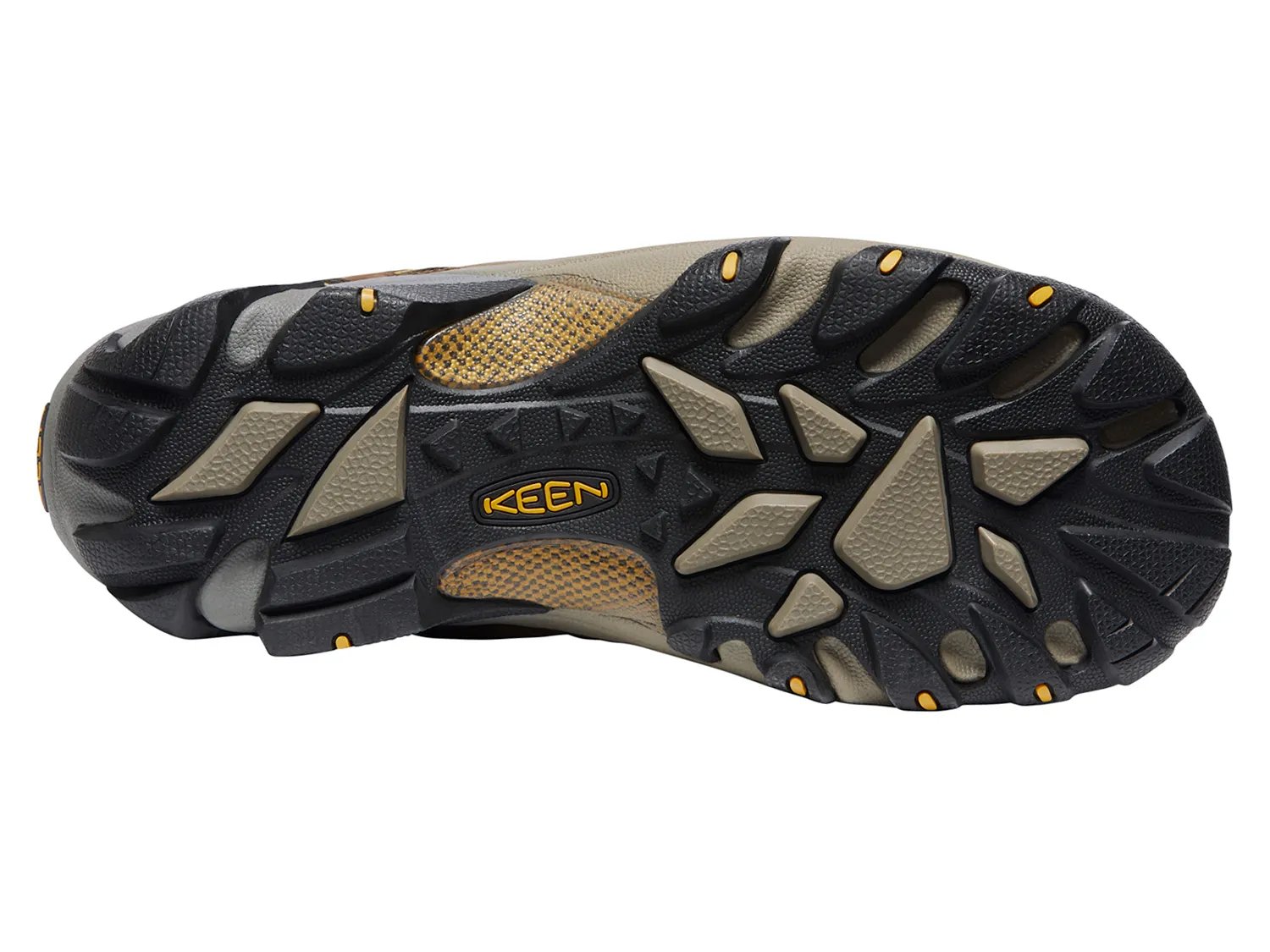 Targhee II Waterproof Hiking Shoe - Men's