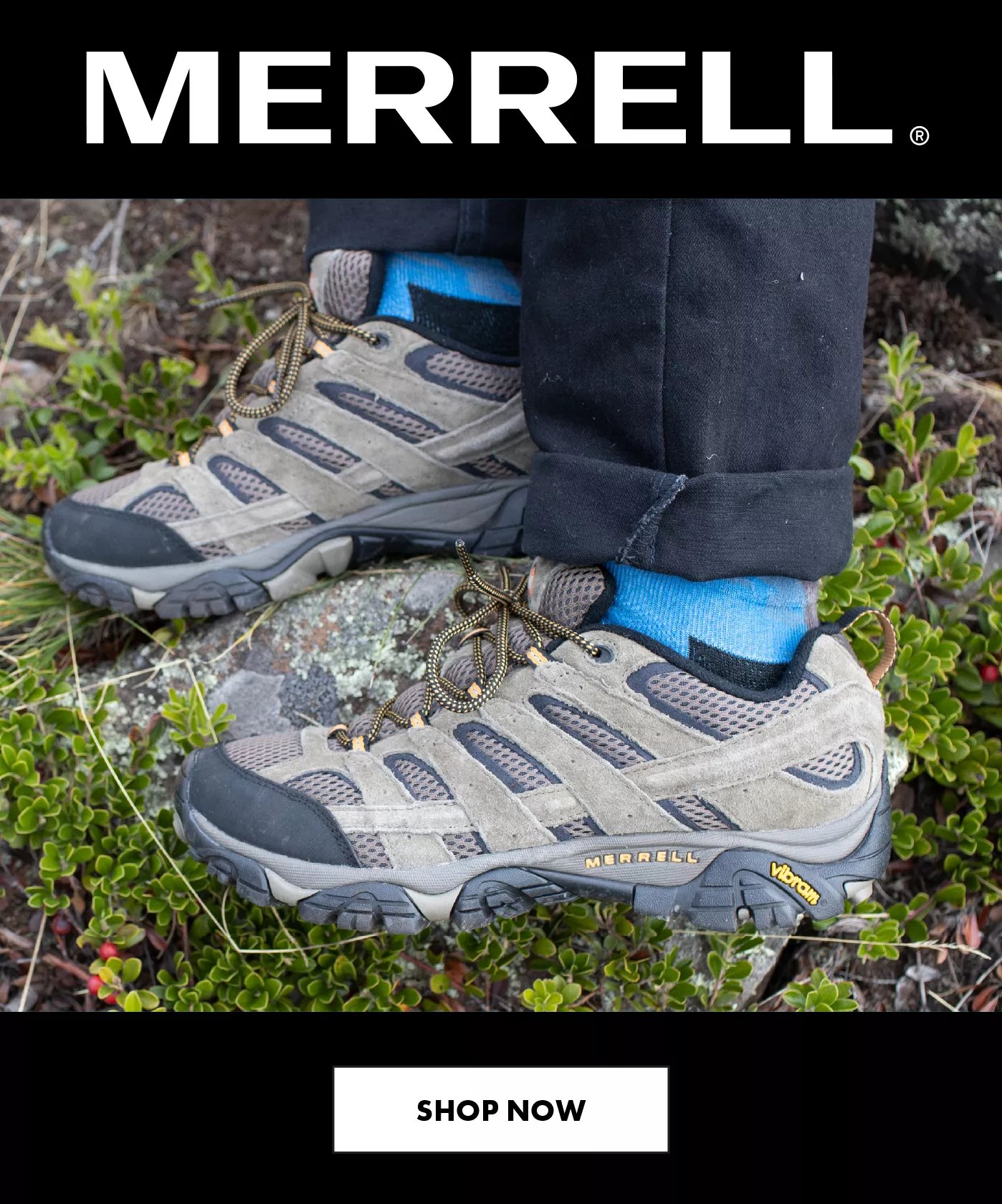 dsw mens hiking boots