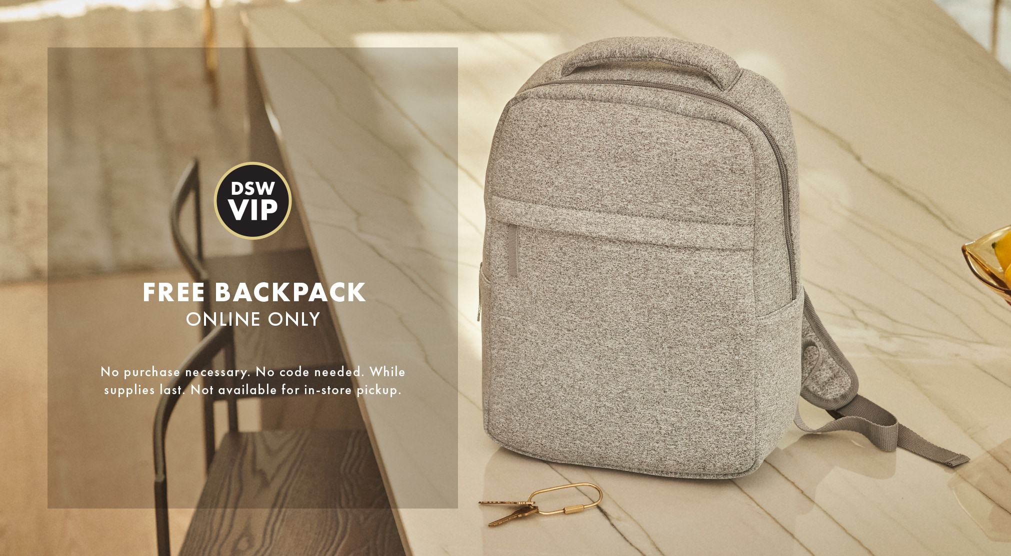 Free backpack dsw on sale