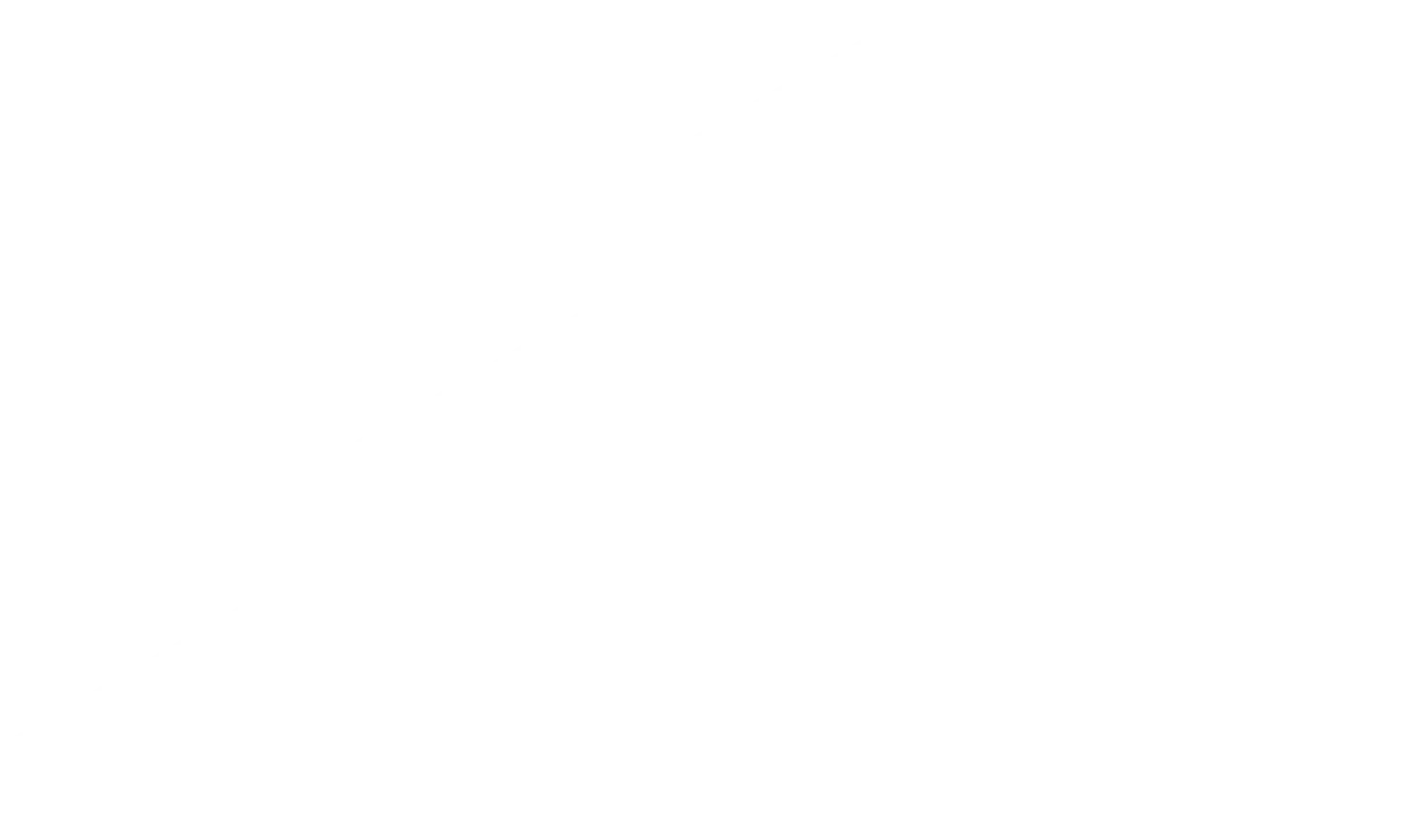 Featuring the adidas logo.