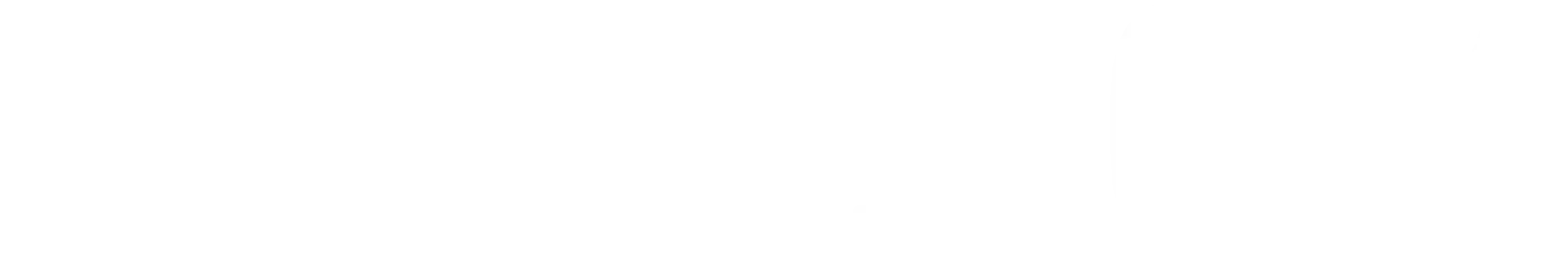 Birkenstock logo