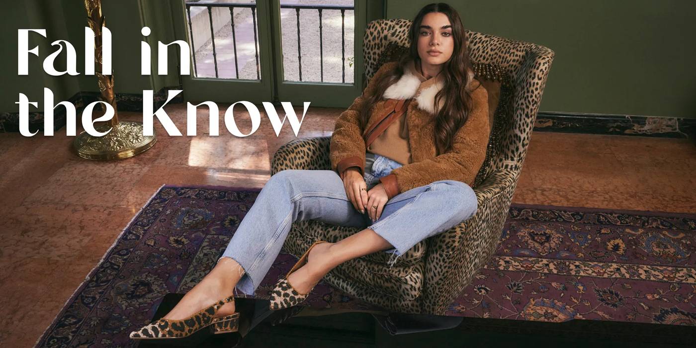 Dsw fall shoes 219 online