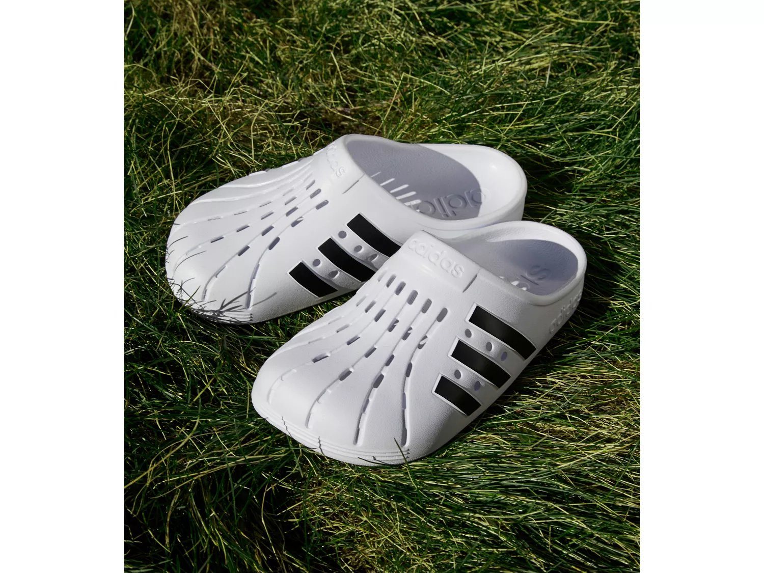 adilette clogs mens